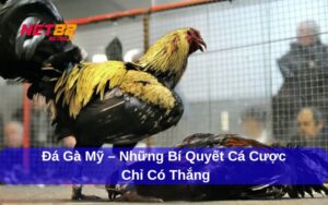 da ga my