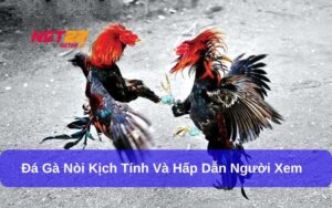 đá gà nòi