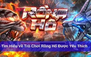 Rồng Hổ